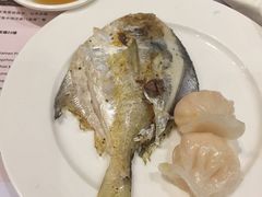 -海中洲国际大酒店-自助餐厅