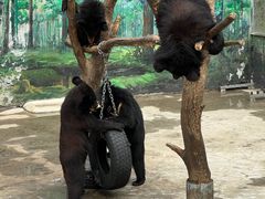 -西安秦岭野生动物园