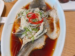 -扁鹊湖阿尔卡迪亚国际度假酒店