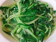 鸡毛菜-北京老铺烤鸭(高新店)