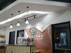 -美联众合宠物医院·爱萌分院·内外科·猫科中心