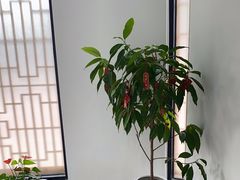 -雅享养生·中医调理·筋骨艾灸(广兰路店)
