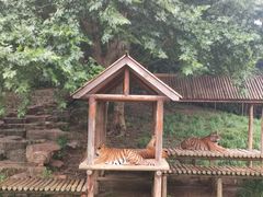 -扬州市茱萸湾风景区