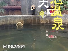 -西安国际创新人才交流中心•药浴温泉
