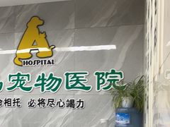 -半岛宠物医院24小时(白果林店)