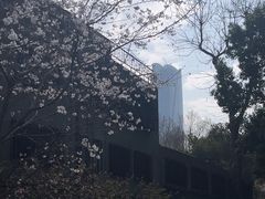 -徐家汇源景区-衡山公园