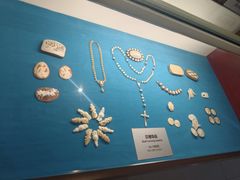 -青岛贝壳博物馆