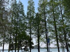 -东钱湖旅游度假区