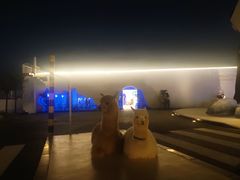 -Blue Concept Cafe&Farm·關於藍