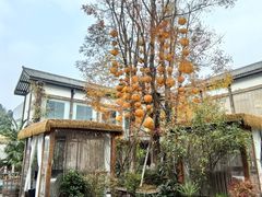 -白鹭湾湿地公园