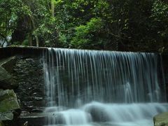 -鼎湖山风景区