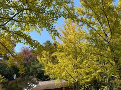 -采石矶景区