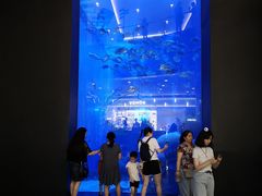 -成都浩海立方海洋公园