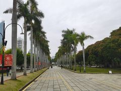 -厦门大学(思明校区)