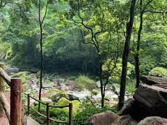 -碧峰峡风景区