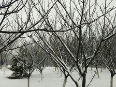 -南京医科大学(江宁校区)