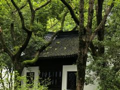 -上海醉白池公园