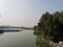 -大兴滨河森林公园