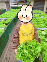 -梦田都市农场(银泰城店)