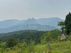 -白水寺森林公园