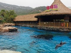 -珠海长隆海洋王国
