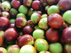 -武汉紫薇都市田园