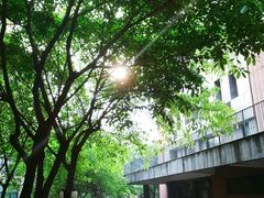 -黄桷坪涂鸦艺术街