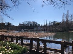 -井之头恩赐公园