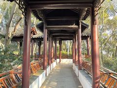 -上海佘山国家森林公园天马山园