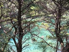 -九寨沟-树正沟