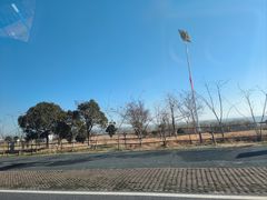 -子固路老南昌拌粉(凯德星贸店)