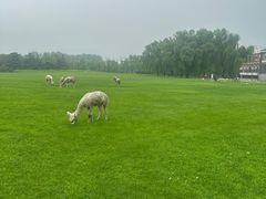 -银树楼(紫玉山庄东区店)