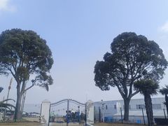 -碧海金沙