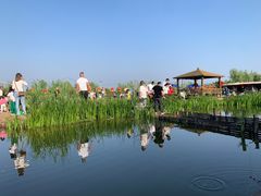 -同銮特种养殖场·龙虾垂钓