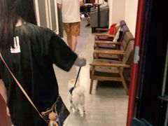 -Moss7Club 剧本杀桌游(inspark店)