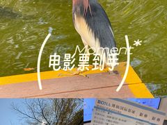 -茂业天地(华强北店)