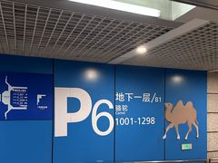 -虹桥综合交通枢纽-P6停车库