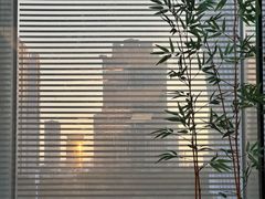 -利苑酒家(合景国际金融广场店)