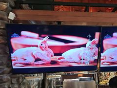 -三强鸽子(中原路店)