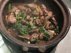 沙姜乳鸽-五邑人家(江门店)