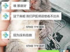 -雨林宠物医院 非犬猫异宠专科