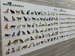 -瑞派名望志远动物医院·猫科·內科·异宠专科(直港大道店)