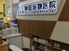 -派联宠物医院·24h·CT·异宠