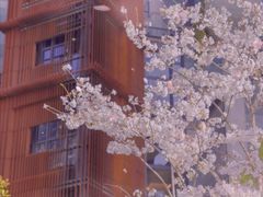 -上海月星家居(澳门路店)