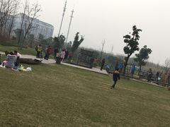 -田园东方蜜桃村的田野营地