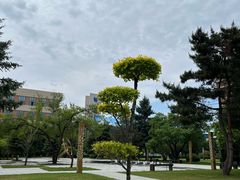 -中国建设银行哈尔滨培训中心