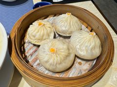 -点都德·毕德寮
