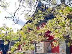 -五台山风景名胜区-罗睺寺