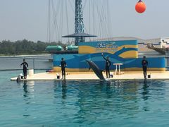 -秦皇岛乐岛海洋王国