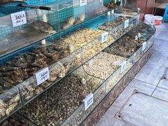 -晓伟海鲜家常菜